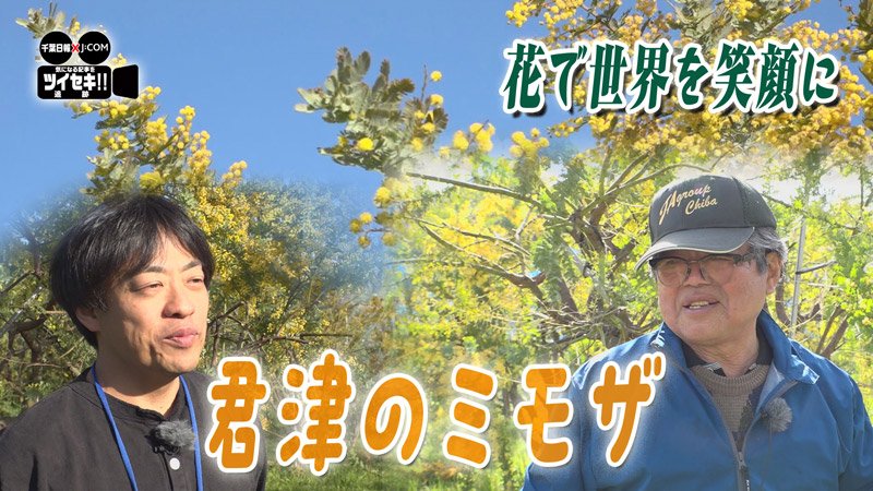 気になるあの記事を「ツイセキ！！」　千葉日報×Ｊ：ＣＯＭコラボ