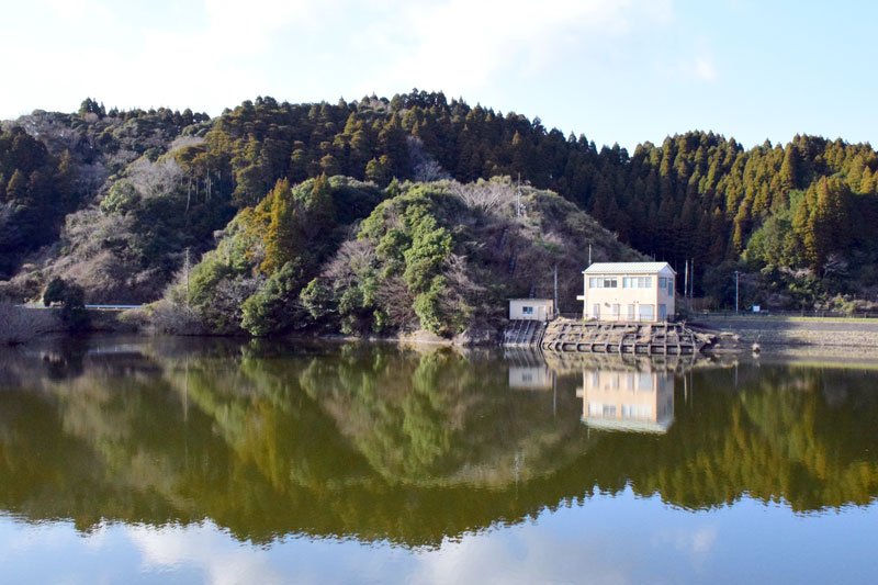 協定対象範囲の小高い丘（手前）。ダム湖を一望する観光スポットになることが期待されている＝長南町の山内ダム