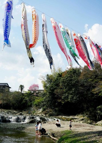 黒原不動滝にお目見えした色とりどりのこいのぼり