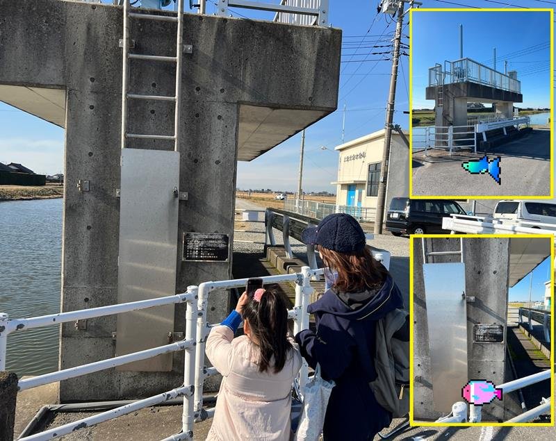 ＩＨＩインフラスクエアが香取市で行った実証実験の様子。アプリで水門を撮影し、写真を投稿すると魚が入手できる（同社提供）
