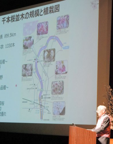 「新川千本桜の会」の活動を報告する萩原会長＝八千代市
