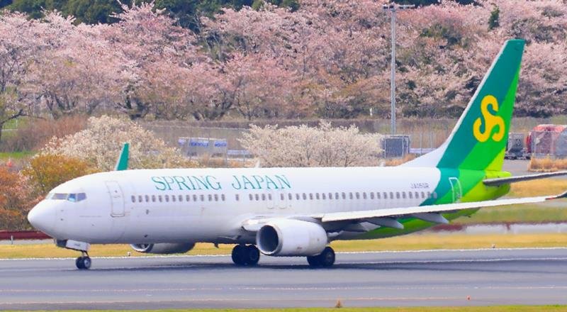 桜に彩られる成田空港の滑走路を走る航空機＝６日、成田市
