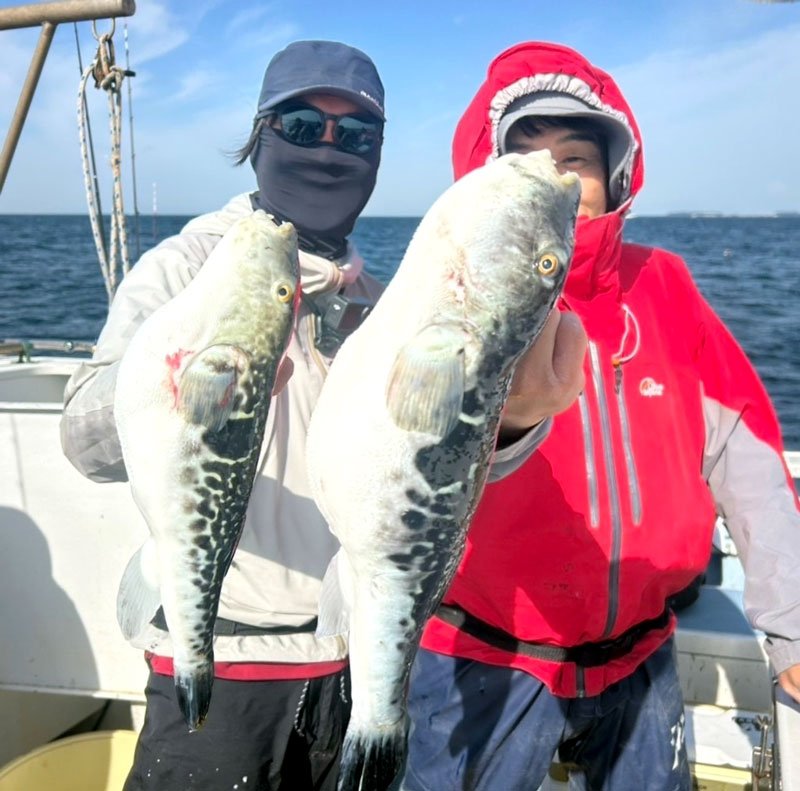 木更津、本牧アジ盛り盛り　富浦トラフグ好釣　【今週の釣果】