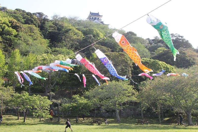 城山公園の芝生広場で元気に泳ぐこいのぼり＝館山市
