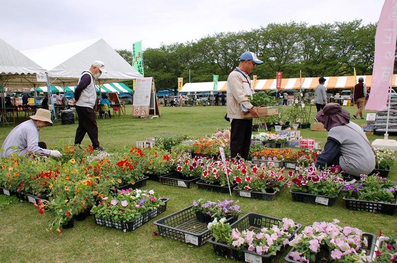 色とりどりの花苗を買い求める来場者＝２４日、市原市農業センター
