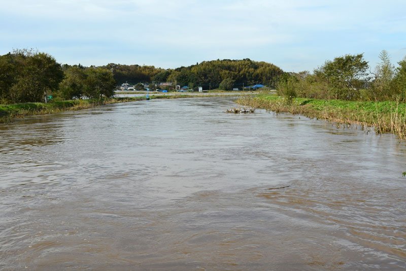 房総豪雨で増水した鹿島川。隣接する水田は池のようになった＝２０１９年１０月２６日、佐倉市