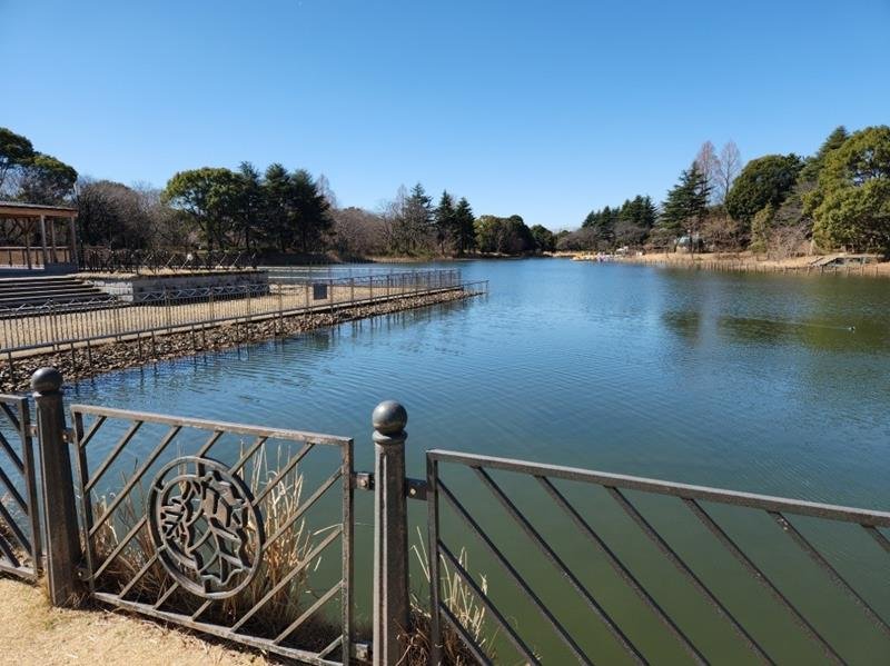 柏の葉公園の池
