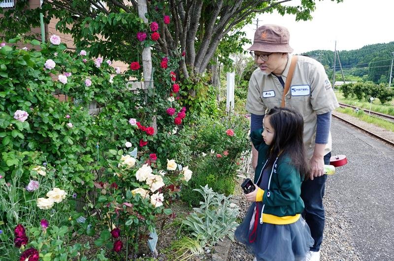 いすみ鉄道上総東駅のオープンガーデンイベントで公開されたバラの花壇を楽しむ来訪者＝いすみ市
