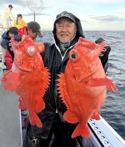 館山オニカサゴ幻の２・８キロ　木更津・保田アジ狙える　【今週の釣果】