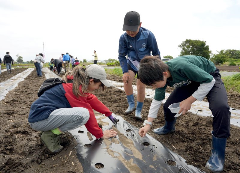 福島の復興を願いヒマワリの種をまく参加者＝２３日、匝瑳市
