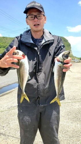 洲崎南クロムツ盛り盛り　大原・太東イサキ大漁　【今週の釣果】
