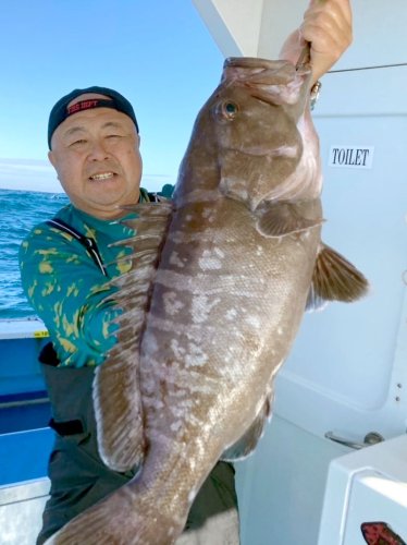 洲崎南クロムツ盛り盛り　大原・太東イサキ大漁　【今週の釣果】