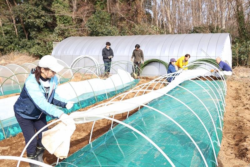ビニールのトンネル作りなどの農作業を体験する人たち＝２月、富里市
