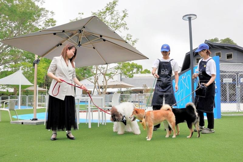 茂原市で３０日、複合型ドッグリゾート「Ｒｕｆｆ－Ｌａｕｇｈ　Ｃｈｉｂａ（ラフラフ千葉）」がプレオープンする。観光施設「ひめはるの里」の跡地を活用し、プライベートドッグラン付きの宿泊客室などを備える　井田心平撮影