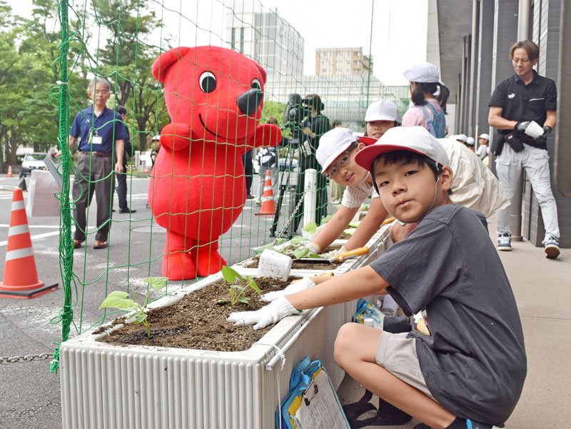 日差しを和らげる「緑のカーテン」を引こうとアサガオを植える子どもたち＝２８日、千葉県庁中庁舎前
