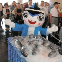 カツオの港で元気発信　勝浦カッピー（勝浦市）　【ちば　ゆるキャラコレクション】