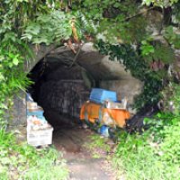 今も残る震洋の格納庫跡。近くの漁協の倉庫に使われている＝勝浦市鵜原