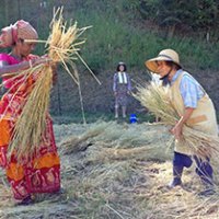 「大切な人亡くした」　地元から惜しむ声　遠山さん死去　市原