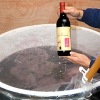 栗源産のブドウを使った地ワイン「グラン・プリンチペッサ」
