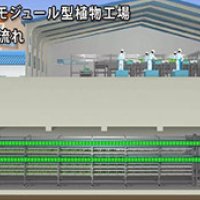 千葉県、地下共同溝に植物工場　１日５千株生産目指す