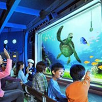 「サイコー！」な海の会話　２００９年「タートル・トーク」　【東京ディズニーシー１５周年クロニクル】（１０）