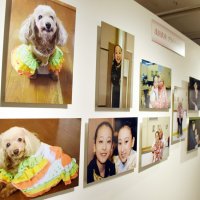 浅田さん自身が撮影した愛犬の写真など、プライベートショットも展示