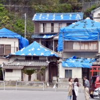 ブルーシートで覆われた民家＝２２日午前１０時５０分、鋸南町岩井袋
