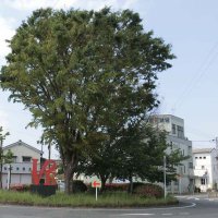 静かでシュールな「愛」　ＬＯＶＥ（千葉市稲毛区）　【千葉まちなかアート】