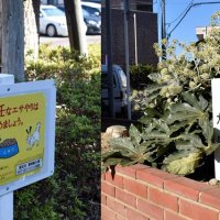 花壇には浦安市、市川市がそれぞれ設置したとみられる看板もあった
