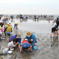 潮干狩り客「屋外なら安心」　コロナ対策取り２年ぶり再開、人数制限も　ふなばし三番瀬海浜公園