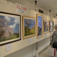 県内の四季鮮やか活写　そごう千葉店「美しい房総写す会」作品展