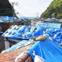 千葉県政への要望「災害から守る」１０年連続１位　１２．７ポイント増　台風・豪雨で意識高く　県民世論調査