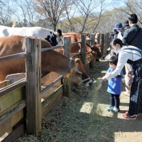 千葉県内４月宿泊　７１１％増７万３２１０人　観光施設も改善　緊急事態の反動で　屋外中心に客足戻る