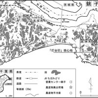 銚子の「灯台印キャベツ」　ちばエコ農産物に指定　【千葉地理学会連載　おもしろ半島ちばの地理再発見】