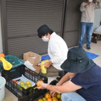 収穫した梨の格安チャリティー販売も住民たちで行った