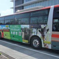 移住者やオフィス誘致へ　市原の魅力、ラッピングバスに
