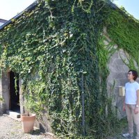 房州石倉庫を交流拠点に　ギャラリー整備、飲食も　洋画家・溝口七生さん娘３人　館山