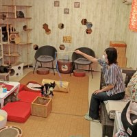 持続可能な保護猫カフェに　猫の館ＭＥ（浦安市）　【ぼうそうにゃん散歩】（１１）