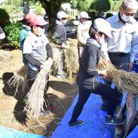 足踏み式で丁寧に脱穀　古沢小５年生が体験　いすみ