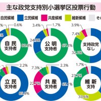 激戦区結果で明暗　自民、復活区で手応え　４勝立民も広がる危機感　【５２６万有権者の選択　検証ちば衆院選】（上）