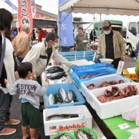 ７カ月ぶり「港の朝市」　２５００人来場、にぎわい戻る　いすみ