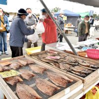 多くの水産加工品が並んだ港の朝市＝７日、いすみ市