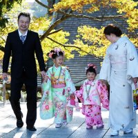 【写真複数あり】成田山、晴れ晴れ七五三　赤やピンク、境内華やかに
