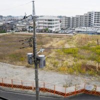 木が伐採された後、共同住宅などの開発が実現しないまま空き地となった土地