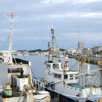 水揚げ量日本一を誇る銚子漁港に並ぶ漁船＝銚子市