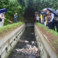 【速報】市川で鳥インフル　宮内庁の鴨場で確認　千葉県内で今季初