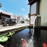 「地元サラ川」入選作発表　君津の魅力、川柳で詠む