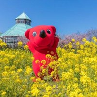 千葉とく旅　県、全面停止に　まん延防止措置適用　ＧｏＴｏイートは利用自粛　新型コロナ