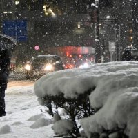 千葉県内に雪、千葉市で７センチ　４年ぶり大雪警報、各地交通網に乱れ　路面凍結への警戒を