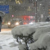 千葉県内で一番寒い時期・地域は？　過去３０年のデータから見る気温